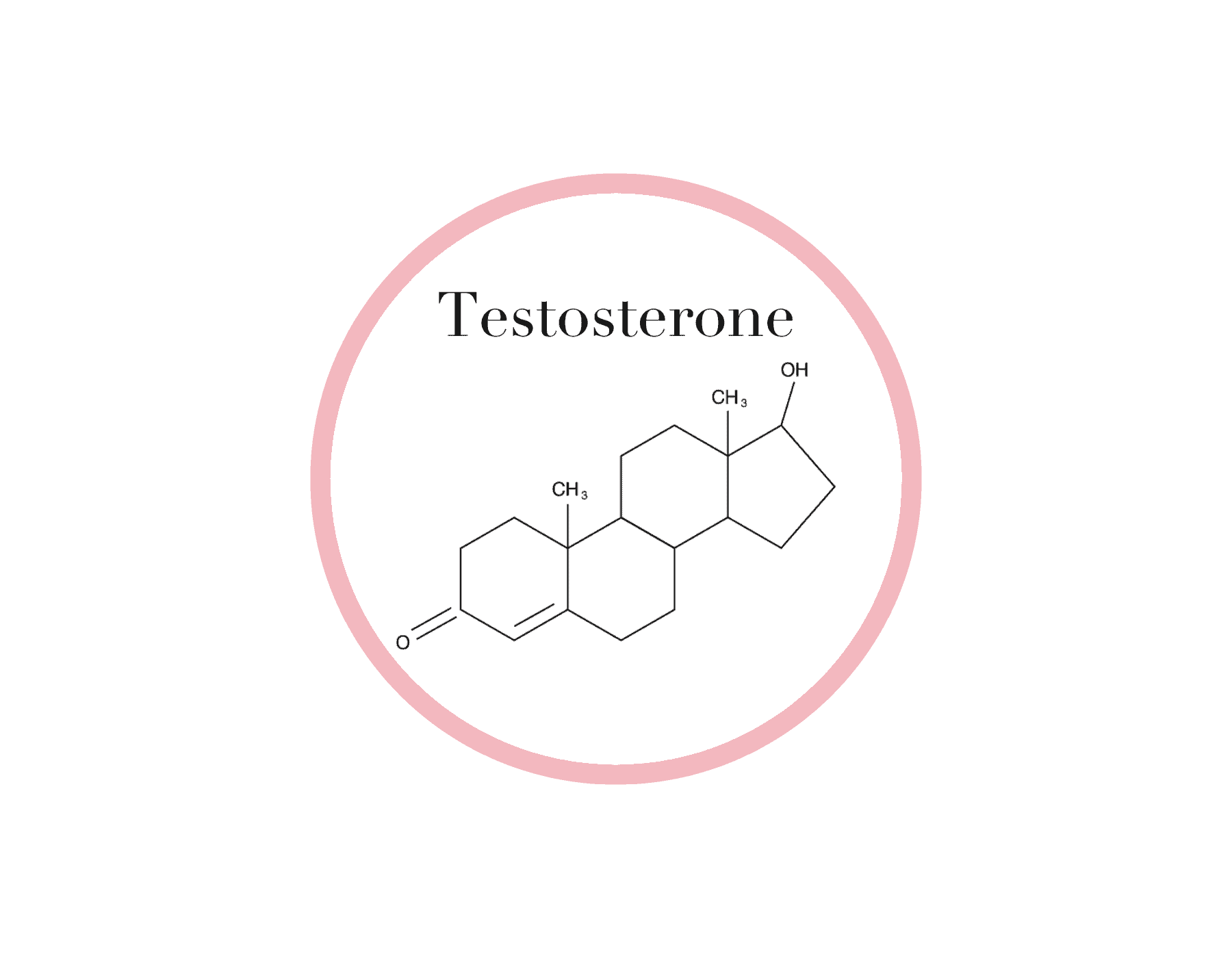 Testosterone