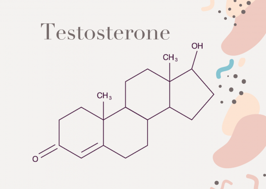 testosterone